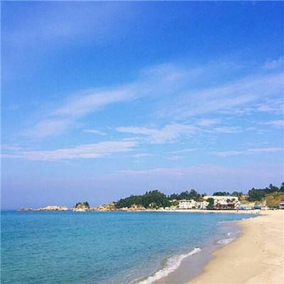 方舟之旅bt变态版下载